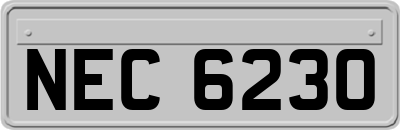 NEC6230