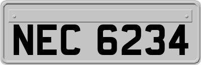 NEC6234