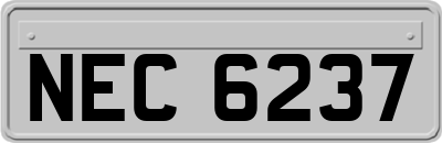 NEC6237