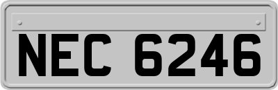 NEC6246