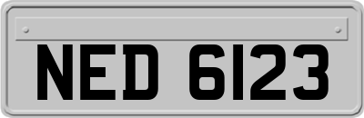 NED6123