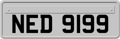 NED9199