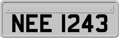 NEE1243