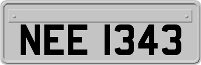 NEE1343
