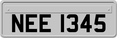 NEE1345
