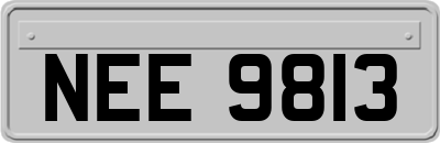 NEE9813