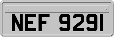 NEF9291