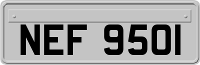 NEF9501