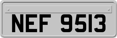 NEF9513