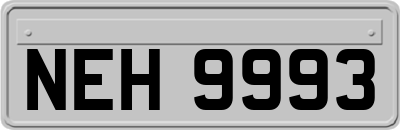 NEH9993