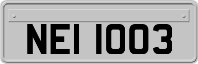 NEI1003