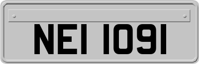 NEI1091