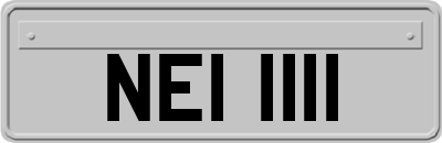 NEI1111