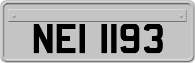 NEI1193