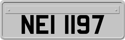 NEI1197