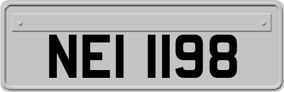 NEI1198