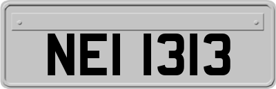 NEI1313