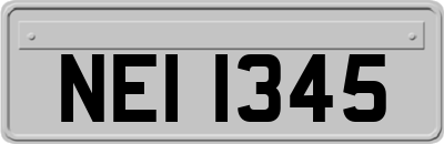 NEI1345