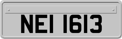 NEI1613