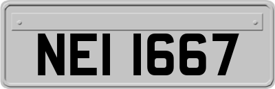 NEI1667