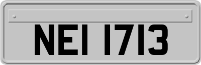 NEI1713