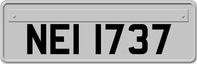 NEI1737