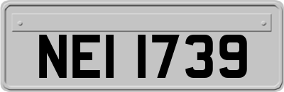 NEI1739