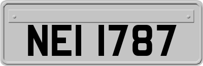 NEI1787