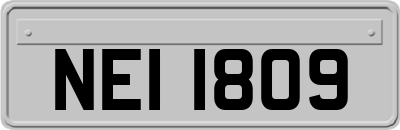 NEI1809