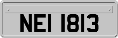 NEI1813