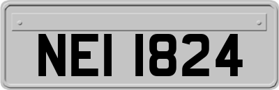 NEI1824