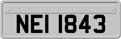 NEI1843