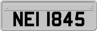 NEI1845