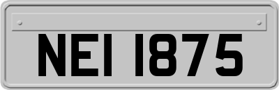 NEI1875