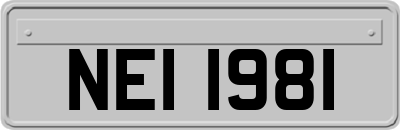 NEI1981