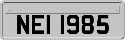 NEI1985