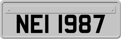 NEI1987