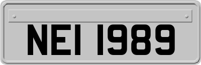 NEI1989