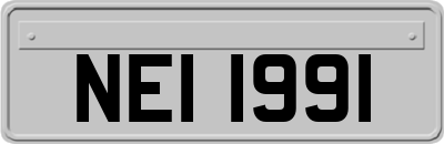 NEI1991