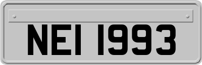 NEI1993