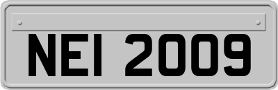 NEI2009