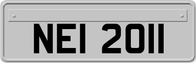 NEI2011