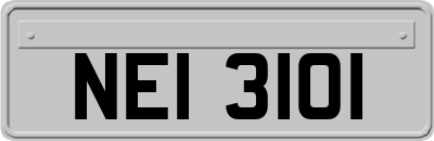 NEI3101