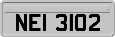 NEI3102