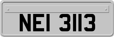 NEI3113