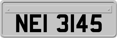 NEI3145