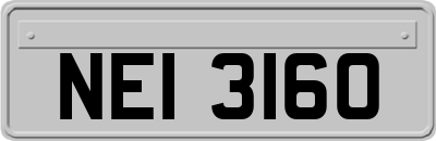 NEI3160