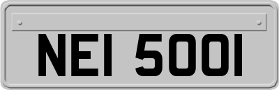 NEI5001