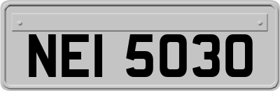 NEI5030