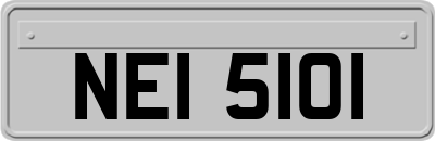 NEI5101